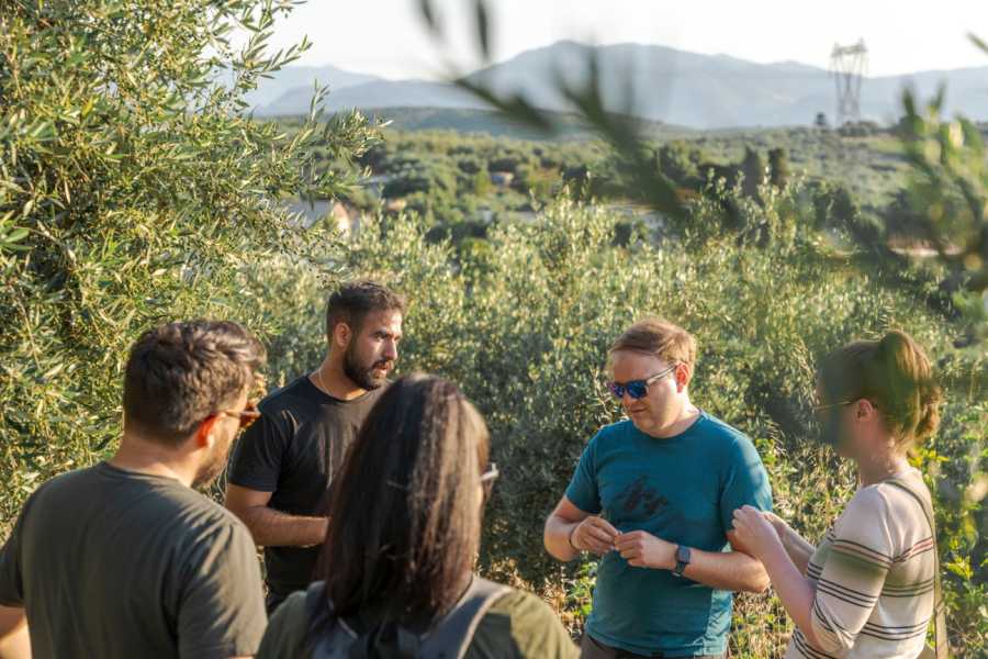 Destination Platanias Oliivi&ouml;ljyn maistelu - Premium