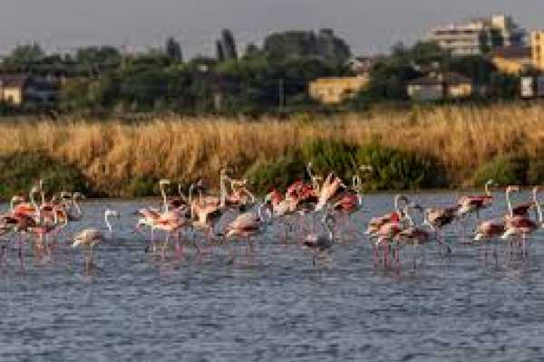 Offerta soggiorno - Benessere tra mare e appennino - Dal 4 maggio al 30 luglio 2026