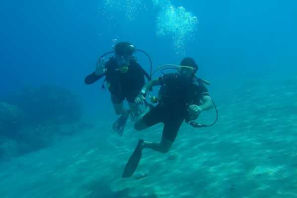 Scuba diving with lunch and pictures