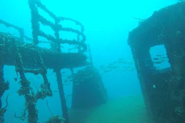 Scuba diving with lunch and pictures
