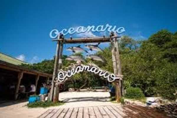 Rosario Islands with lunch