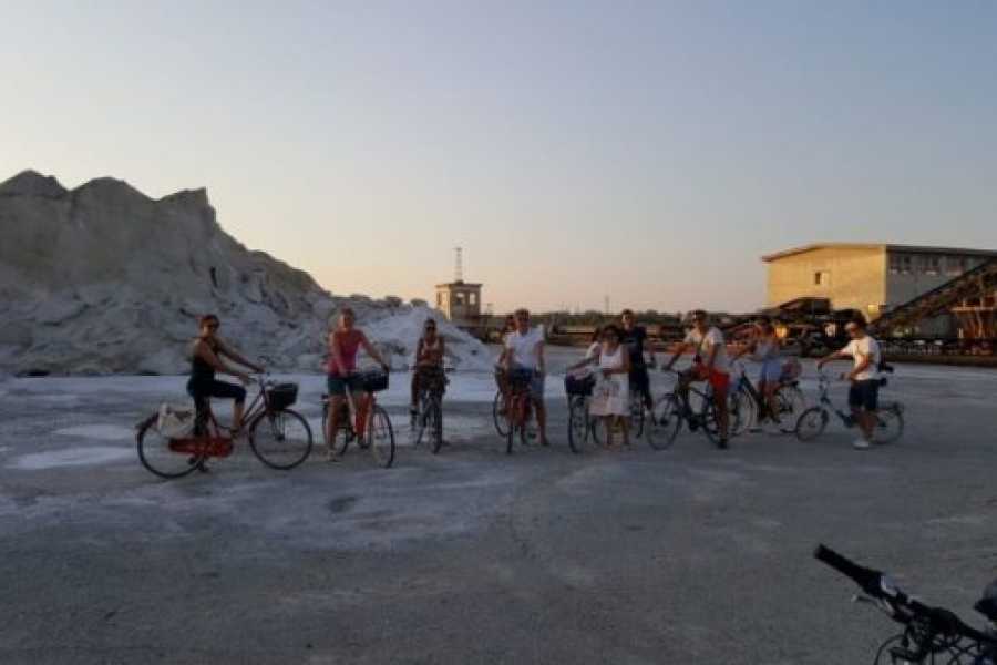 Discover Cervia (ERW) Cervia Saltpan by Bike & Birdwatching