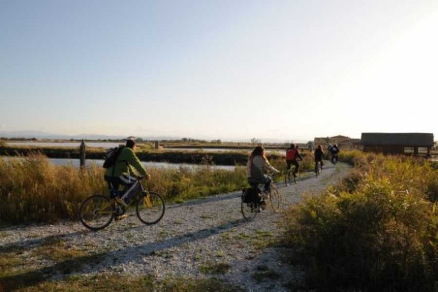 Discover Cervia (ERW) Cervia Saltpan by Bike & Birdwatching