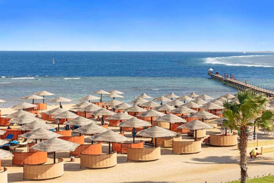 Egypt Tour packages Transfer from Marsa Alam Airport to Pickalbatros oasis port ghalib