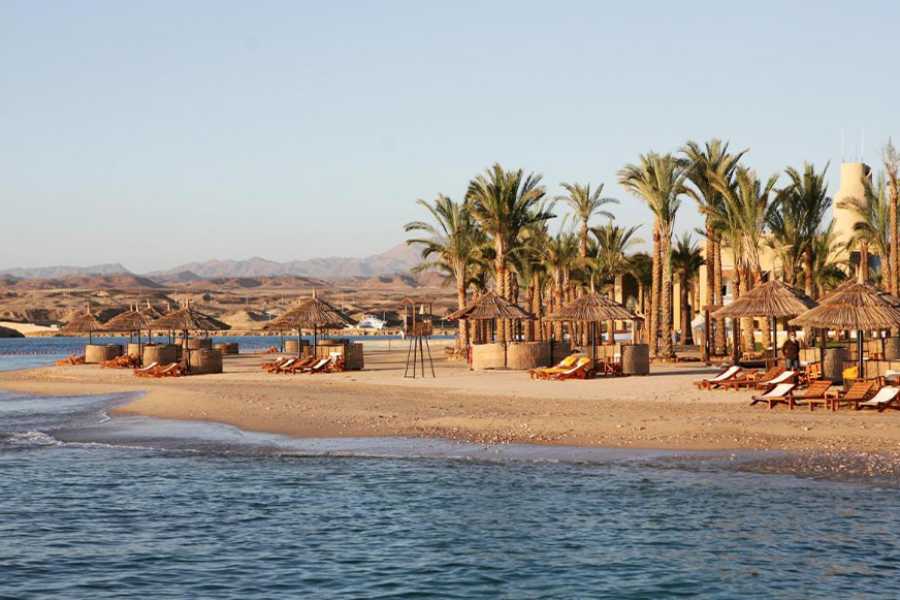 Egypt Tour packages Transfer from Marsa Alam Airport to Pickalbatros oasis port ghalib