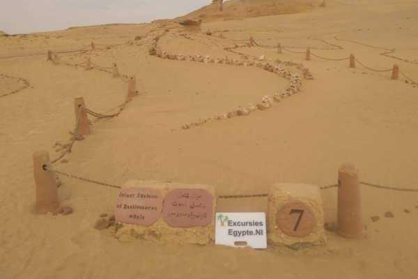 Wadi El Hitan 2-Day Tour from Hurghada with Camping