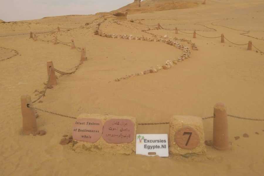 Egypt Tour packages Wadi El Hitan 2-Day Tour from Hurghada with Camping