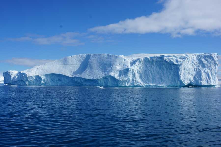 Diskobay Tours Ilimanaq - Icefiord sailing
