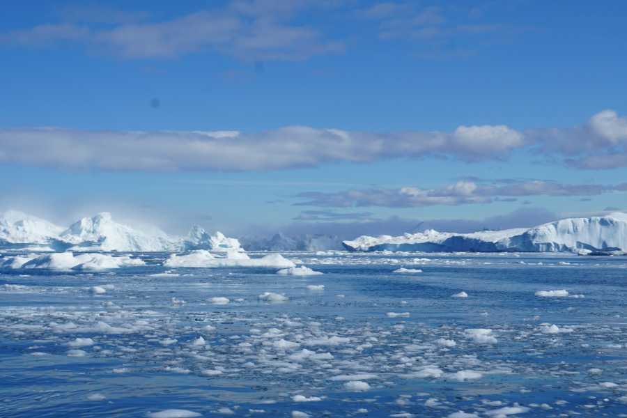 Diskobay Tours Ilimanaq - Icefiord sailing