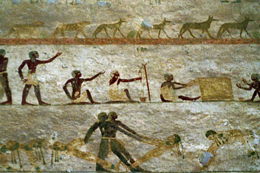 Marsa alam tours Day trip to Al Minya from Luxor