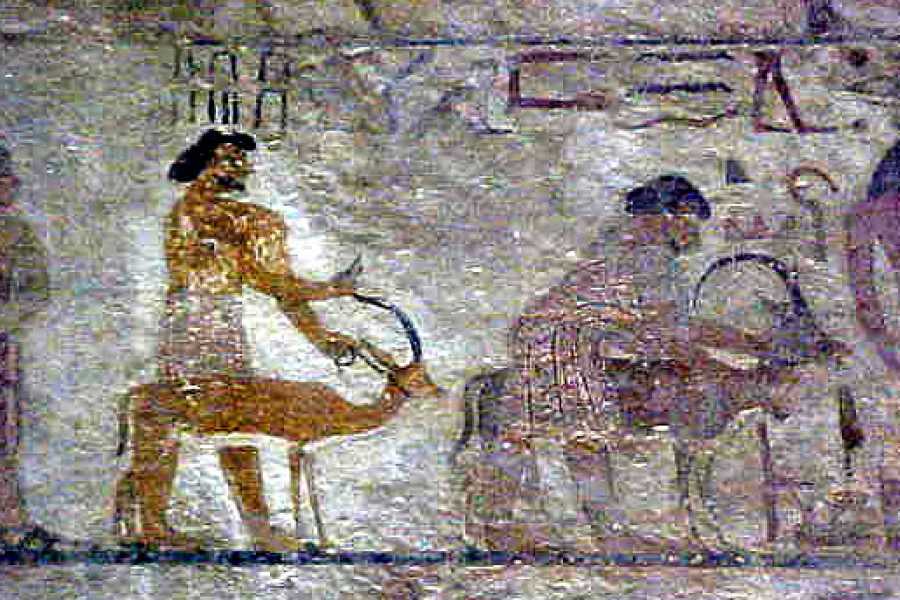 Marsa alam tours Day trip to Al Minya from Luxor