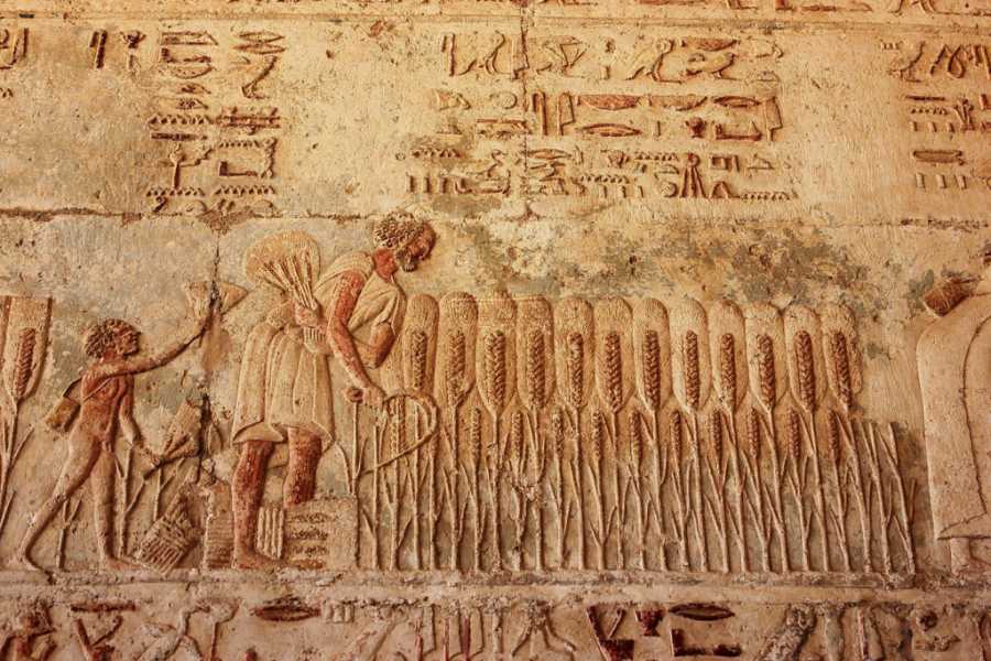 Marsa alam tours Day trip to Al Minya from Luxor