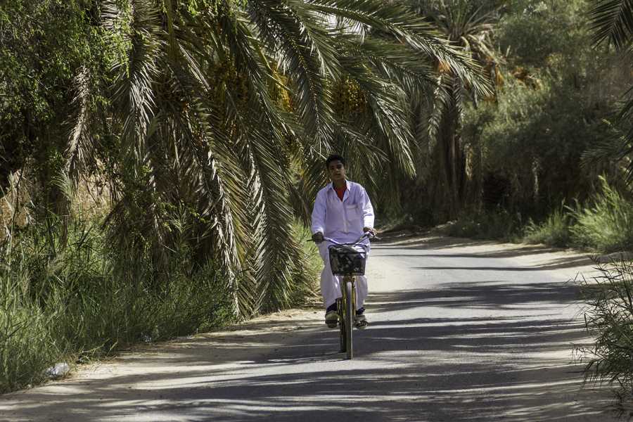 Marsa alam tours 5 Day trip Siwa Oasis and Marsa Matrouh from Cairo