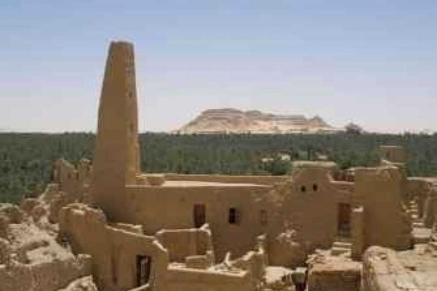Marsa alam tours 5 Day trip Siwa Oasis and Marsa Matrouh from Cairo