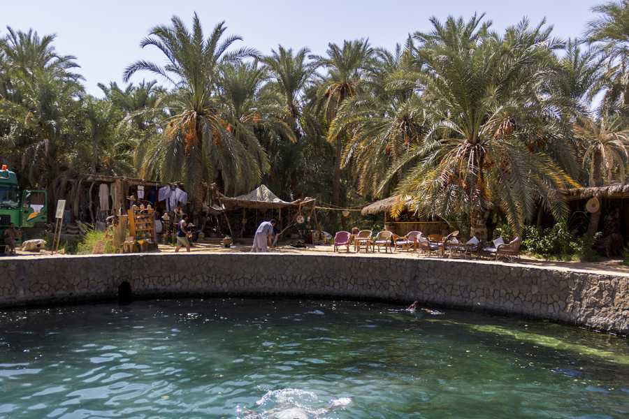 Marsa alam tours 5 Day trip Siwa Oasis and Marsa Matrouh from Cairo
