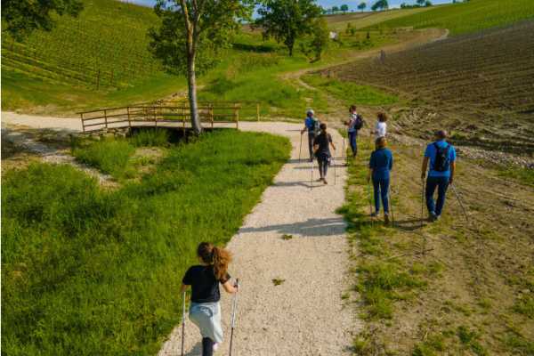 Trekking tra i vigneti di Varignana: un viaggio nella natura e nel gusto