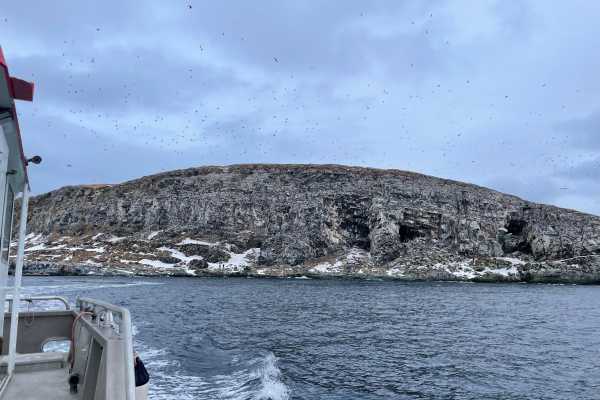 1 / White Tailed Eagle Hide (Summer from 1st of July)