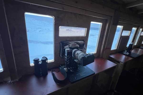 1 / White Tailed Eagle Hide (Summer from 1st of July)