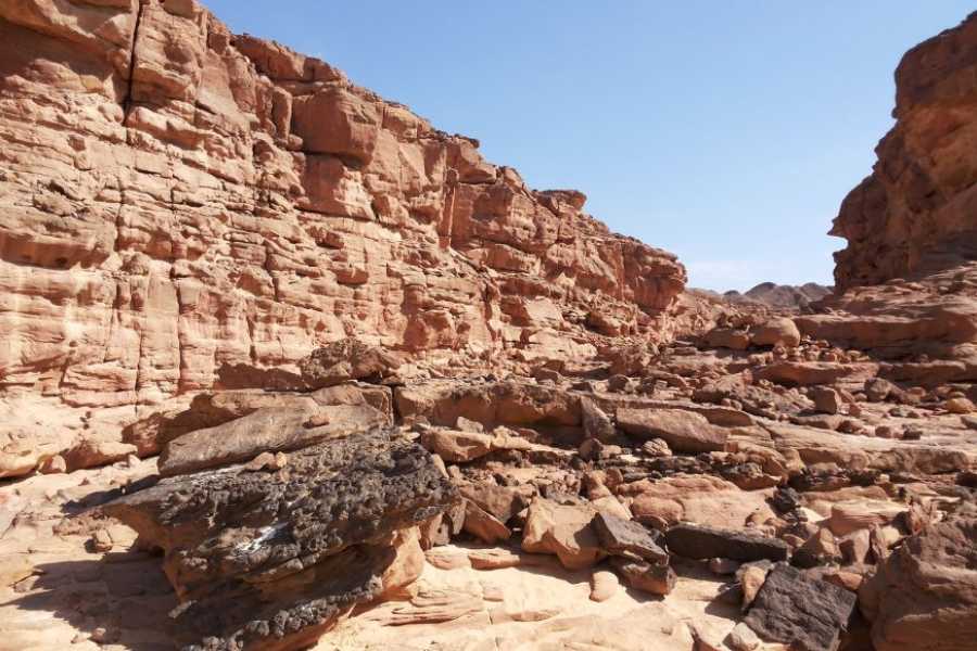 Egypt Tour packages 2 Day Trip to Mount Sinai and St.Catherine Monastery from Sharm el sheikh