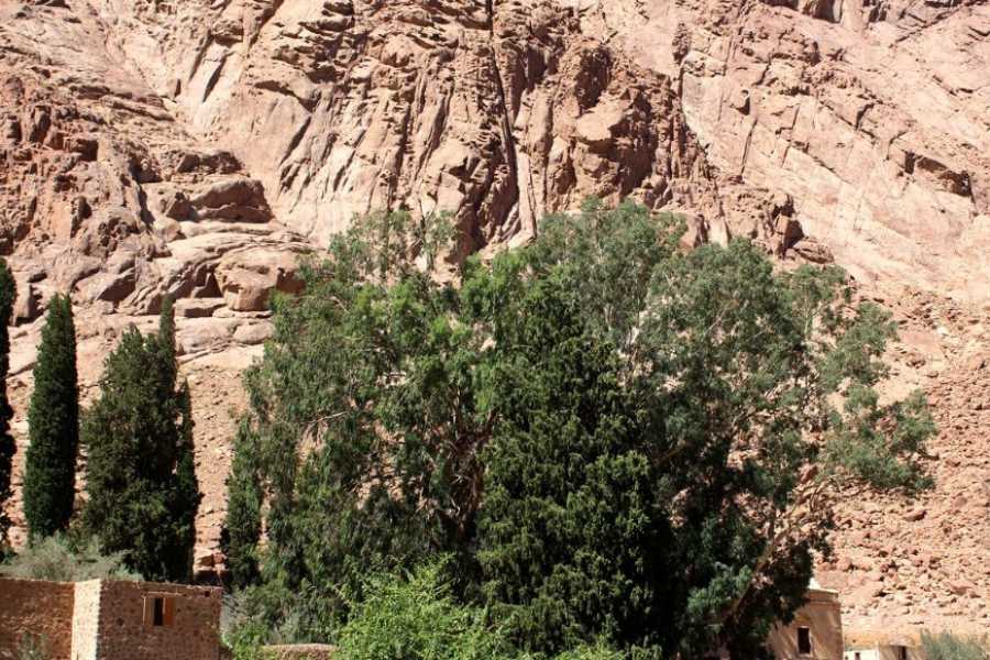 Egypt Tour packages 2 Day Trip to Mount Sinai and St.Catherine Monastery from Sharm el sheikh
