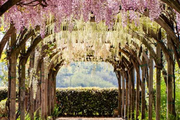 I Giardini Ornamentali di Varignana - Visita guidata