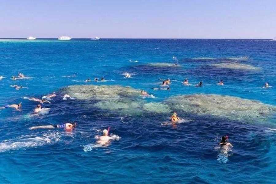 Egypt Tour packages Tiran Island Snorkeling Excursion From Sharm el Sheikh