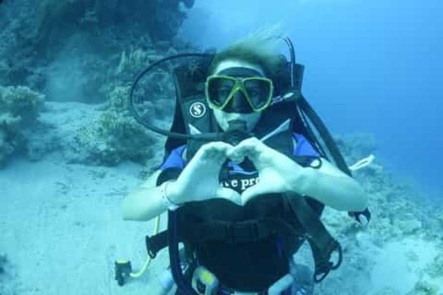 Egypt Tour packages Tiran Island Diving Excursion from Sharm el Sheikh &ndash; Coral Reefs & Shipwrecks