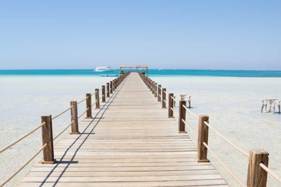 Egypt Tour packages Transfer from Hotel in Sharm el sheikh to Cairo Hotel