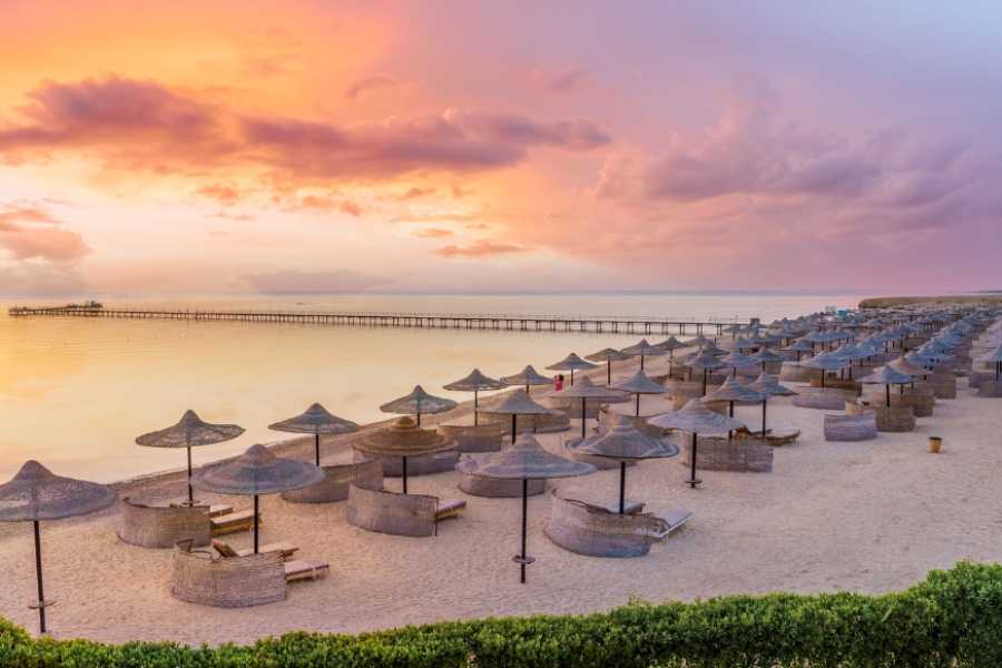 Egypt Tour packages Transfer from Hotel in Sharm el sheikh to Cairo Hotel