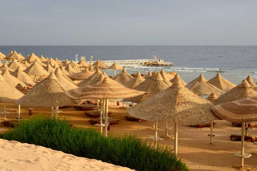 Egypt Tour packages Transfer from Hotel in Sharm el sheikh to Cairo Hotel