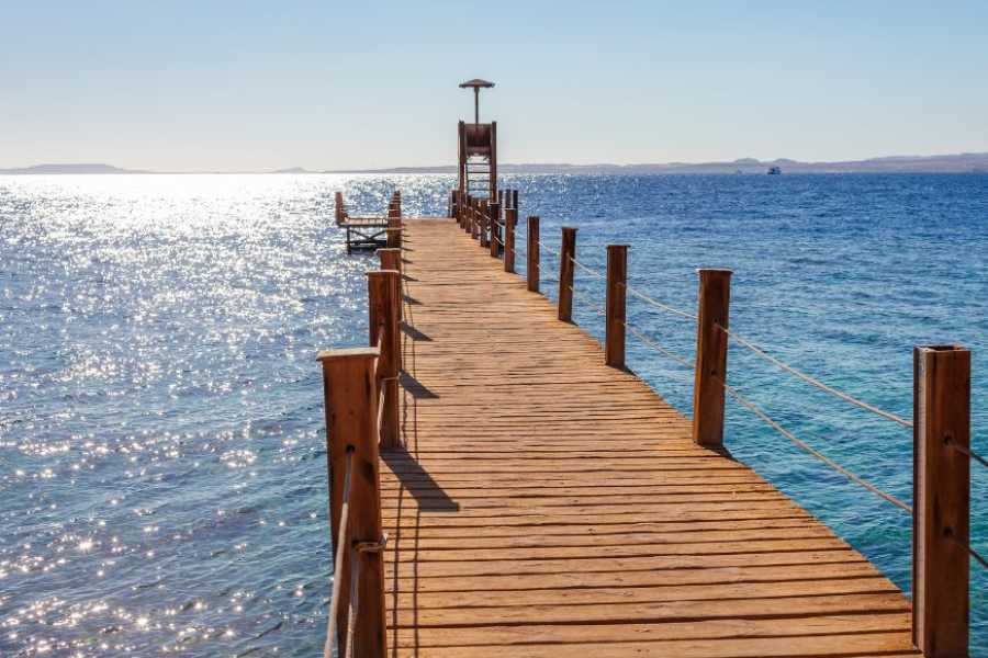 Egypt Tour packages Transfer fra Kairo til Hurghada