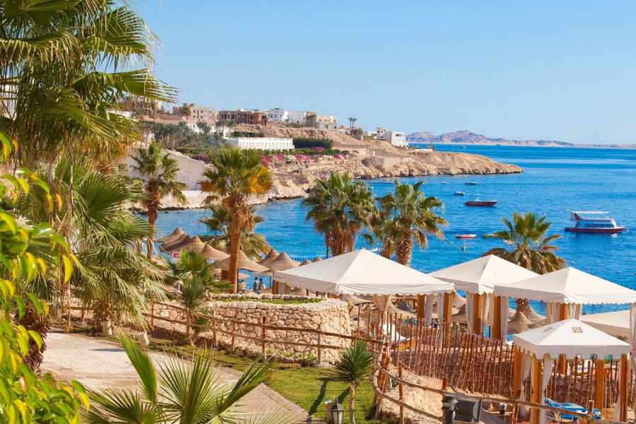 Egypt Tour packages Transfer fra Kairo til Hurghada