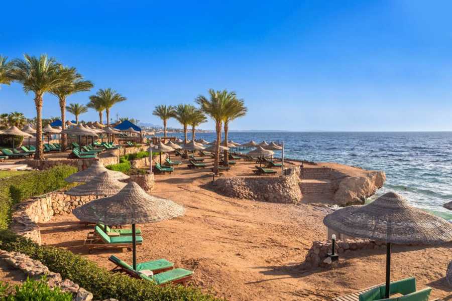 Egypt Tour packages Transfer fra Kairo til Hurghada