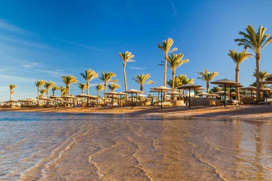 Egypt Tour packages Transfer fra Kairo til Hurghada