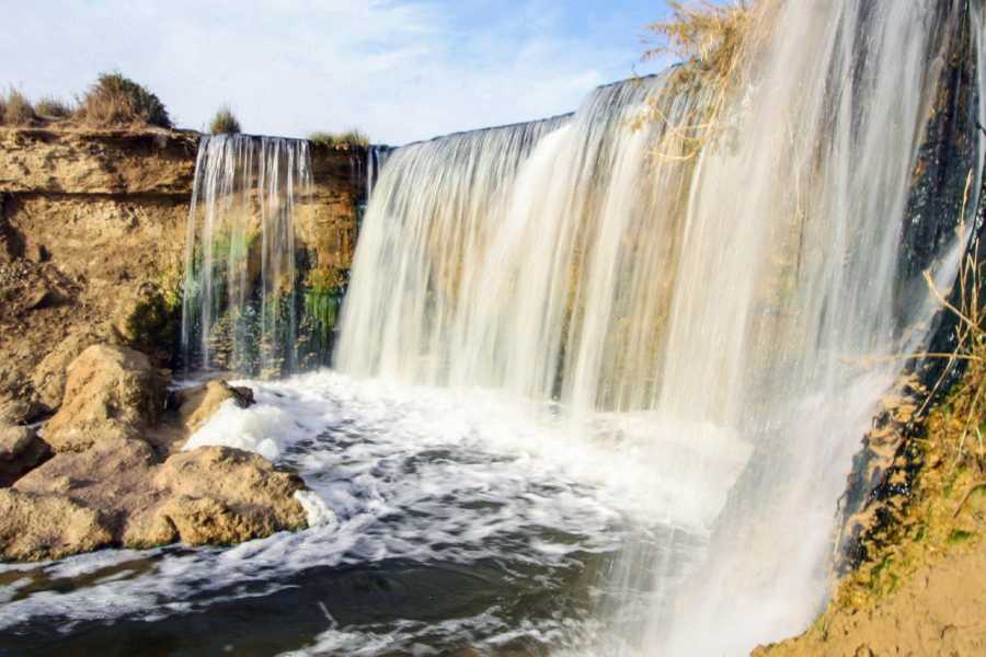 Egypt Tour packages Transfer from Cairo Hotel in Fayoum