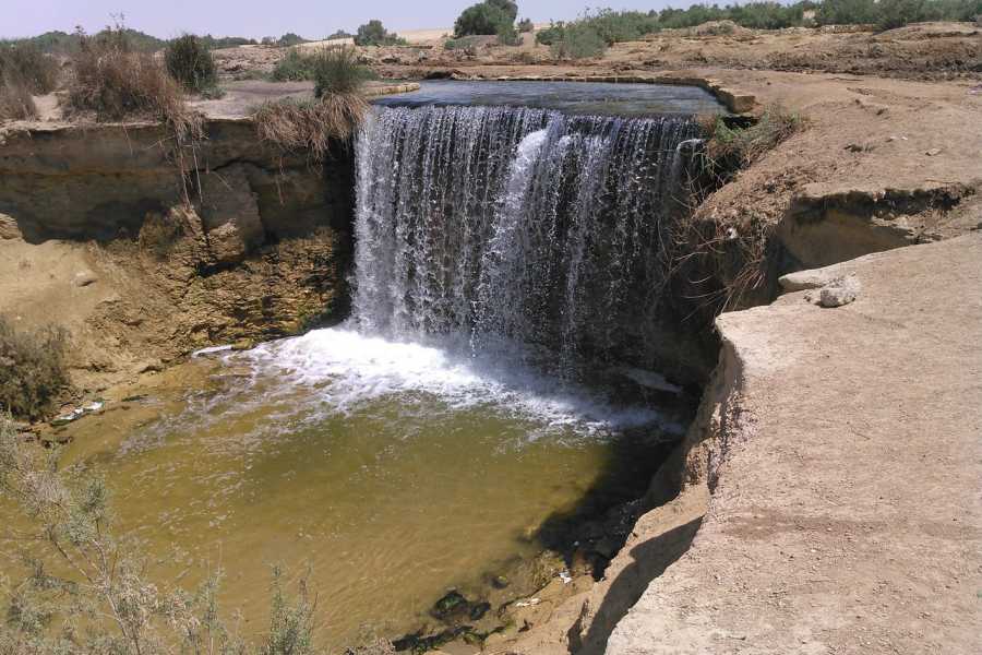 Egypt Tour packages Transfer from Cairo Hotel in Fayoum