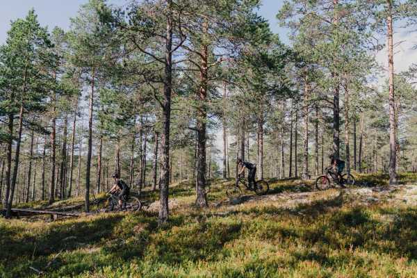 Shuttling for stisyklister | L&oslash;rdag 20.6 | Ringebudagene