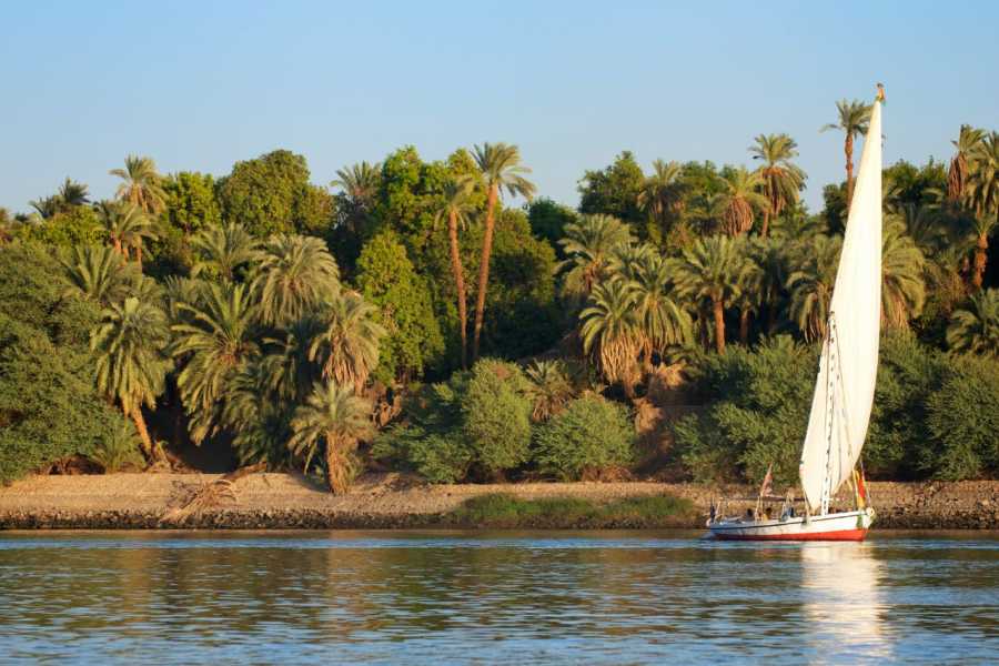 Egypt Tour packages 2 Day Trip to Luxor from Portghalib with Hot air balloon