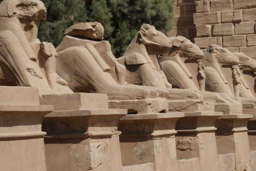 Egypt Tour packages 2 Day Trip to Luxor from Portghalib with Hot air balloon