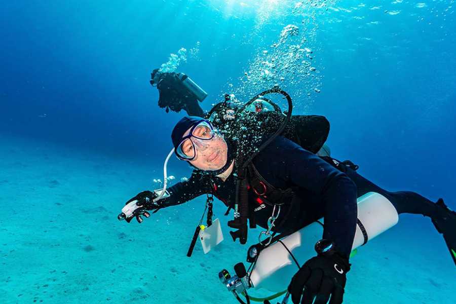 Egypt Tour packages Diving trip at Shaab Samadai from El Quseir
