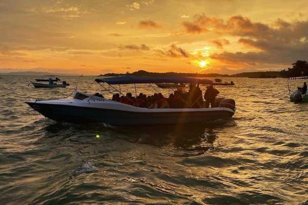 1-Day Corcovado Boat Tour: Sirena Station from Puerto Jimenez (Wildlife Watching)