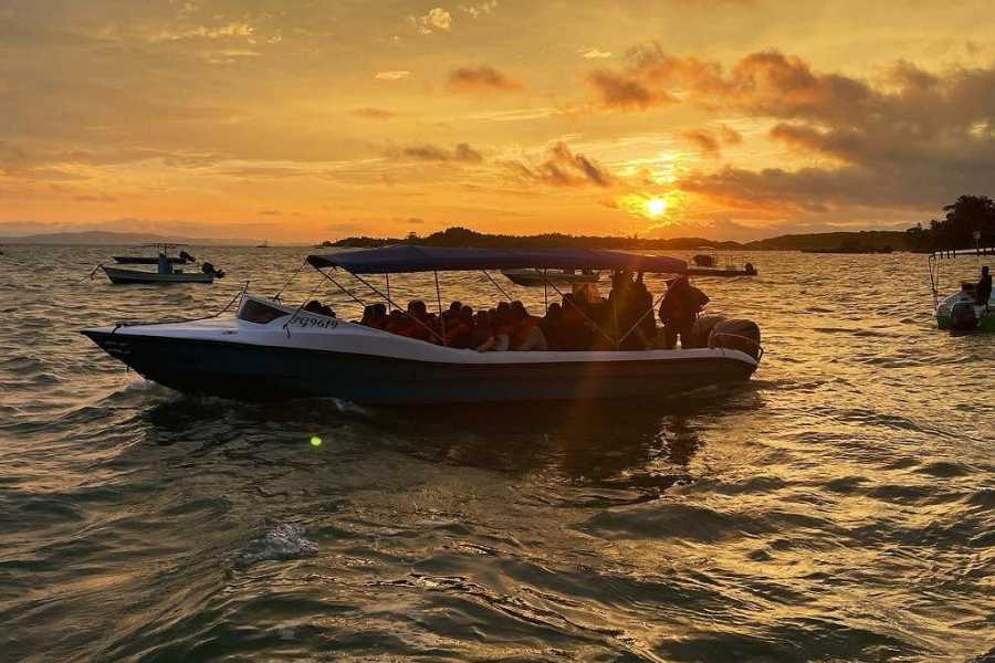 Aventuras Golfo Dulce Excursi&oacute;n de 1 D&iacute;a al Parque Nacional Corcovado | Estaci&oacute;n Sirena en Bote