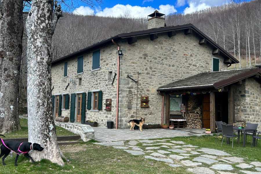 Modenatur Yoga Appennino