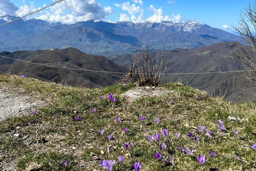 Modenatur Yoga Appennino