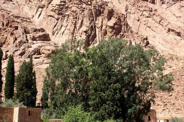 2 Day Trip to Mount Sinai and Suez from Cairo