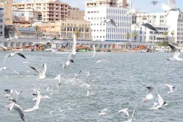 Day Trip to Port said from Cairo