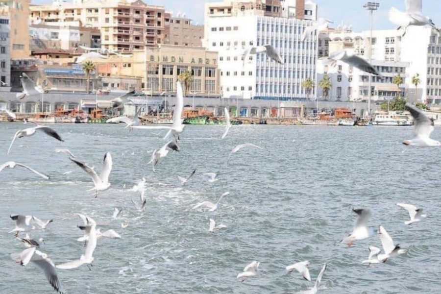 Egypt Tour packages Dagstur til Port Said fra Kairo