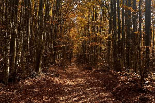 Escursione Sospesa - Trekking & Canoa a Suviana