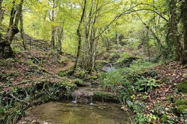 Escursione Sospesa - Trekking & Canoa a Suviana