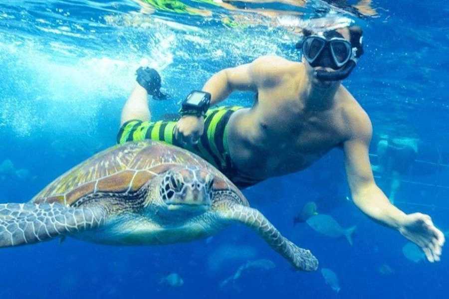Egypt Tour packages 4 Days Marsa Alam Tour Package from Cairo